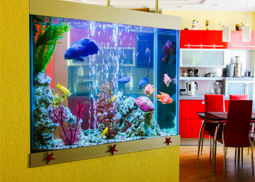 アクアリウムの施工例