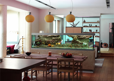 アクアリウムの施工例2