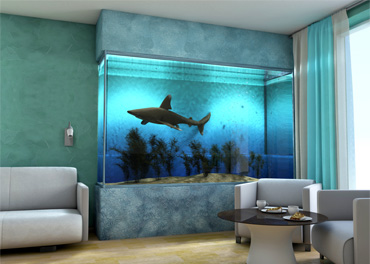 アクアリウムの施工例3